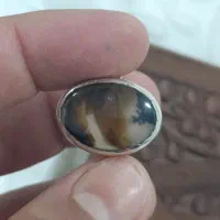 انگشتر شجر اصل