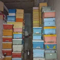 جعبه  و طبق زنبور  دست دوم و رمکه ی نو و دست دوم