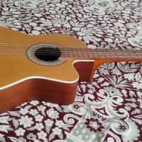گیتار پارسی