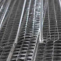 رابیتس بندی و پیکور