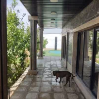 باغچه سندار ۵۰۰متر(باغ باغچه ویلا زمین فقط چارباغ)|فروش دفتر صنعتی، کشاورزی، تجاری|شاهدشهر, |دیوار