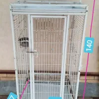 قفس بزرگ  طوطی‌سانان