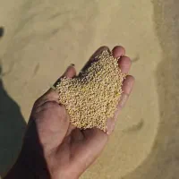 ارزن|عمدهفروشی|کهنوج, |دیوار