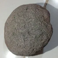 سنگ|کلکسیون اشیاء عتیقه|پرند, فاز ۲|دیوار