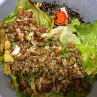 حلزون آچاتینا|خزنده|تهران, صادقیه|دیوار