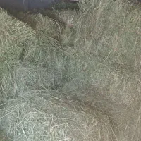 پرس یونجه سبسک تمیز خشک انباری