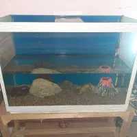 آکواریوم و بخاری