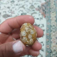 سنگ خام|جواهرات|چمران, |دیوار