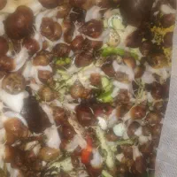 بیشتر از ۵۰ تا حلزون پرورشی ارزون