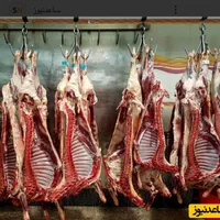 قصاب ماهر و یک مرغ خرد کن