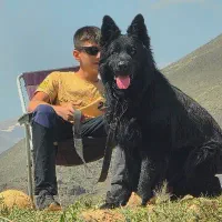 وارگذاری ژرمن بلک اصیل