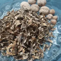پره گردو