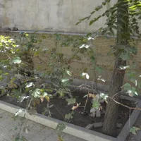 ۱۰۰ متری دو خواب طبقه اول تخلیه طالقانی ولیعصر