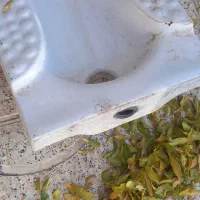 سنگ توالت|لوازم سرویس بهداشتی|ایلام, |دیوار