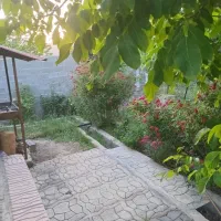 باغ سیب وگیلاس|فروش خانه و ویلا|کیاسر, |دیوار