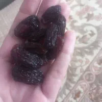 مویز کشمش مشیره خشکرود در ساوه