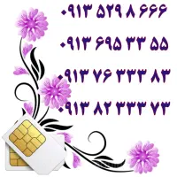 0919.004.007.9|سیم‌کارت|اصفهان, تیران|دیوار