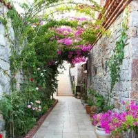 خونه-حیاط-دار