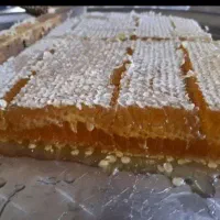 عسل گَوَن|خوردنی و آشامیدنی|بوشکان, |دیوار