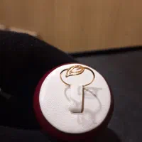 کار زیر یک گرم|جواهرات|اصفهان, نقش جهان|دیوار