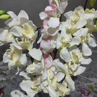 گل زیبا سالم|گل مصنوعی|قرچک, شهرک گلها|دیوار