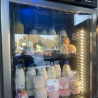 یخچال کینو مشکی ایستاده کافه بستنی سوپری