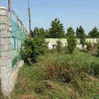 دیوارکشی با دروازه/جنگل دشتسر