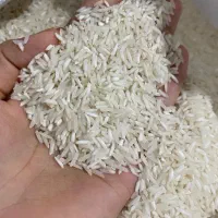 برنج فجر سوزنی