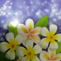 کتاب پرستاری.  مامایی  پیرا پزشک