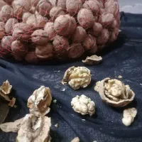 گردویکجا