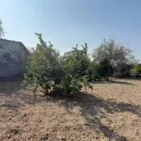 زمین مسکونی