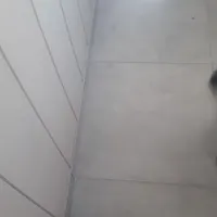 سلام سمند سورن صفر خشک