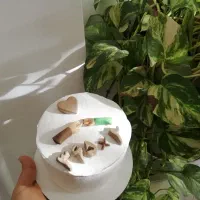 کیک سرای طعم تازه|خدمات پذیرایی، مراسم|نیشابور, کوی یغما|دیوار