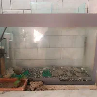 آکواریوم ۴۶۰ لیتری