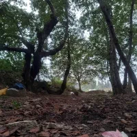 گردشگری|تور و چارتر|بابل, |دیوار