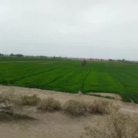 اجازه-زمین
