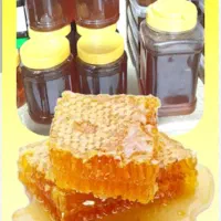 عسل طبیعی