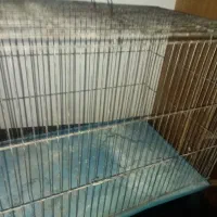 قفس پرنده
