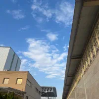 استخدام حسابدار مسلط به امور حسابداری و مالیاتی