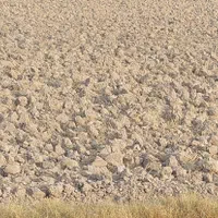 اجاره ۱۸ هکتار