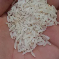 برنج هاشمی و علی کاظمی|خوردنی و آشامیدنی|گوراب زرمیخ, |دیوار