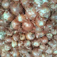 پخش تره بار رستوران ها و سوپرمارکت ها