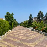 زمین 625 متری شهرک ونوشه/محدوده دریابیشه(کد215)