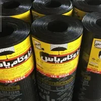 ایزوگام سالاری