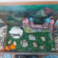 آکواریوم 50سانتی با لوازم کامل