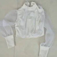 کراپ مجلسی دونه ای ۳۵۰  هزار  تومن