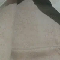 موکت
