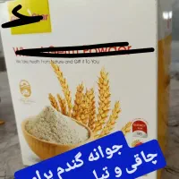 جوانه گندم پین استار اصل|آرایشی، بهداشتی، درمانی|خرم‌آباد, |دیوار