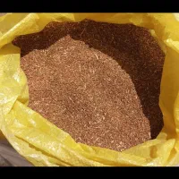 بذر یونجه پایه بلند همدان