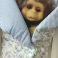 عروسک طرح میمون